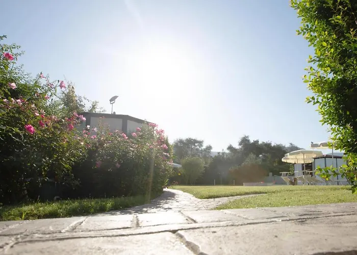 Selenite * Capo dʼOrlando